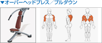 ▼オーバーヘッドプレス／プルダウン