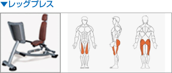 ▼レッグプレス