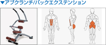 ▼アブクランチ/バックエクステンション